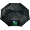Picture of 42\" Auto Open Folding Umbrella