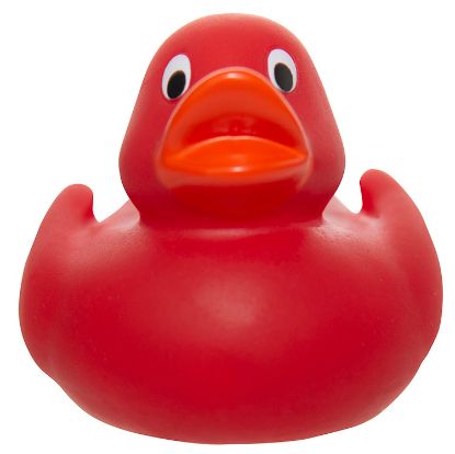 Lil' Rubber Duck