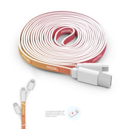 10 Foot Branded Triple Tip Cable