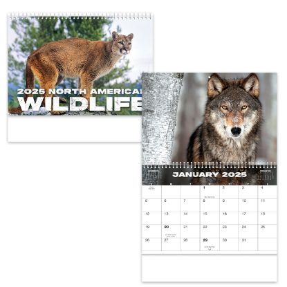 Full Color Wildlife Spiral Wall Calendar