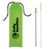 Stainless Steel Straw Kit - Silver Straw with Lime Green