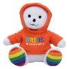 6 Inch Rainbow Bear 2