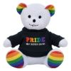 6 Inch Rainbow Bear 3