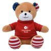 6 Inch Patriotic Bear 3